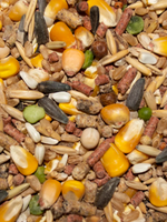 WHOLE CORN POULTRY MIX