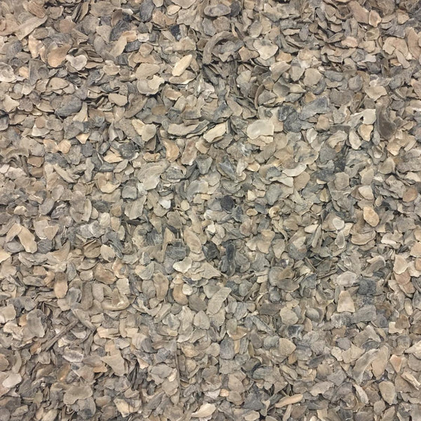 OYSTER SHELL