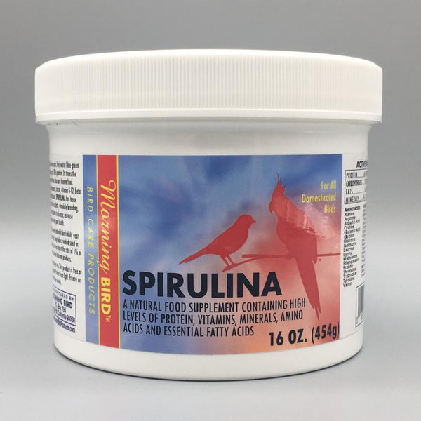 Spirulina - Bird Supplements – Morning Bird Products